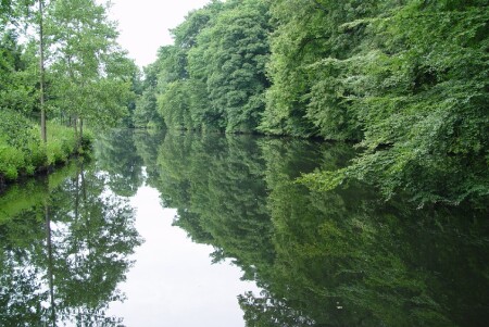 "Зеркало"
