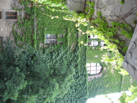 Озеленелое.