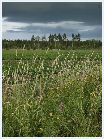 Дыхание осени