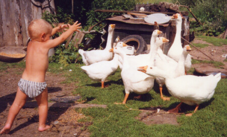 Ша, пернатые!!!