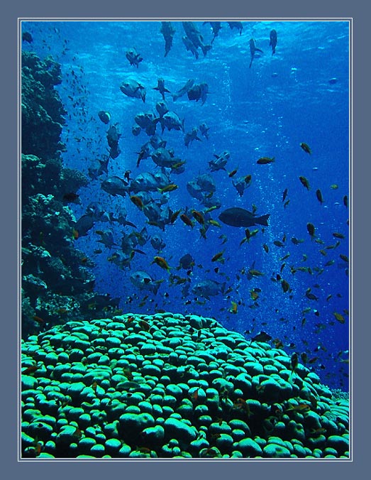 Лунный пейзаж Красного моря.