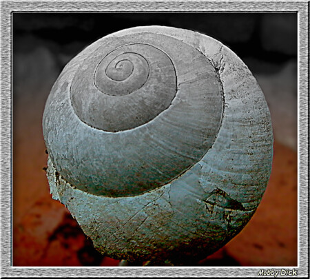 spiral