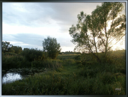 nature