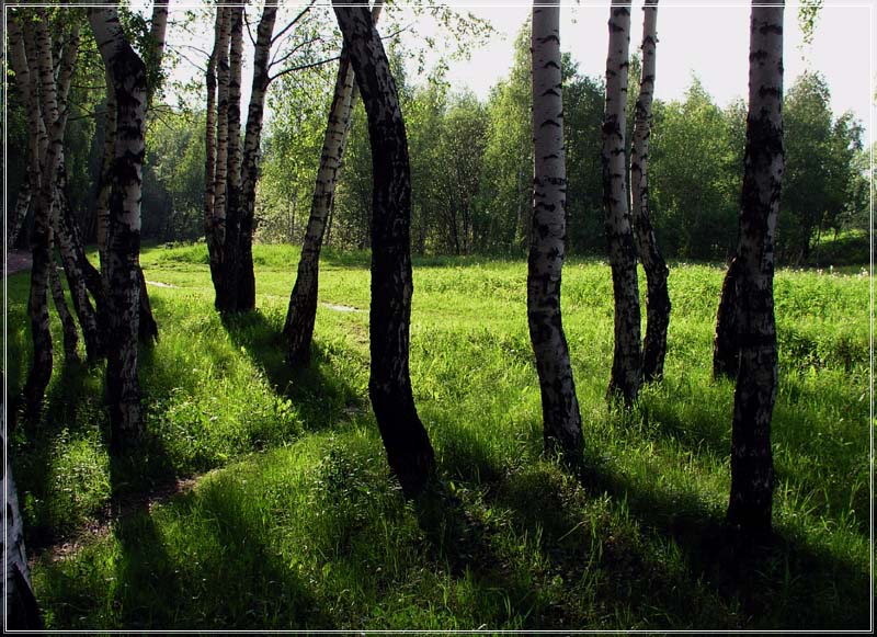 Переплетения
