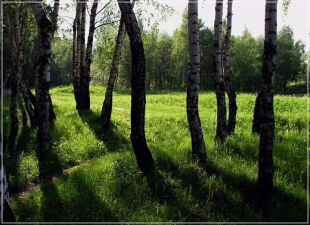 Переплетения