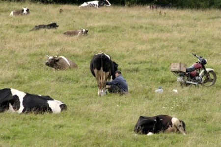 Дозаправка