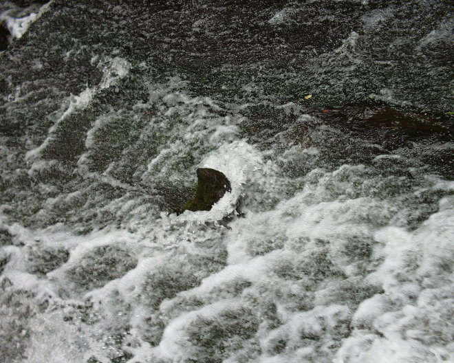энергия воды