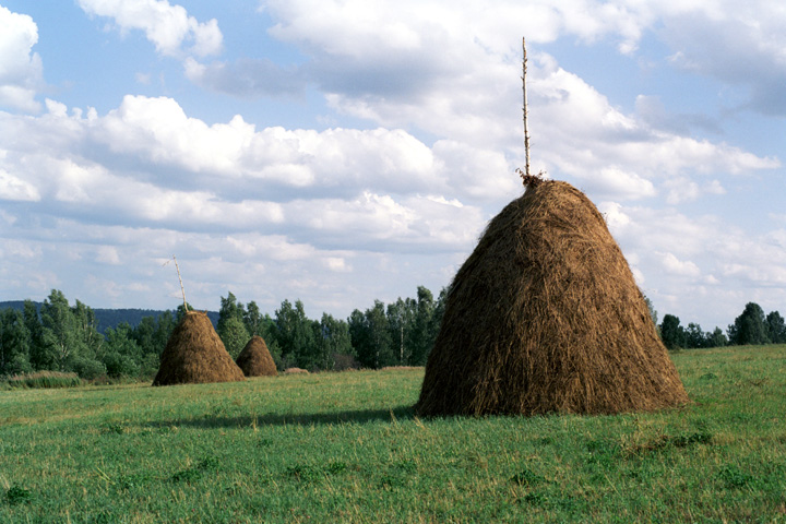 Сенокос