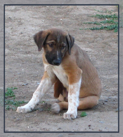 И грусть в глазах