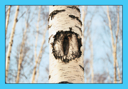 Тайные желания... :)