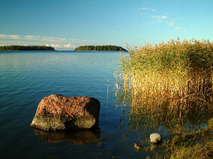 Холодное осеннее утро