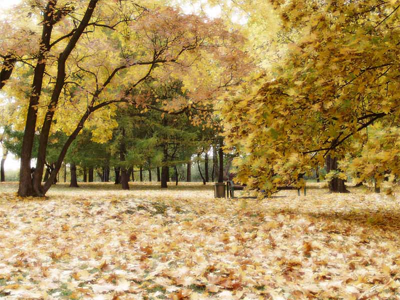 Коломенское - осень 2002 г.