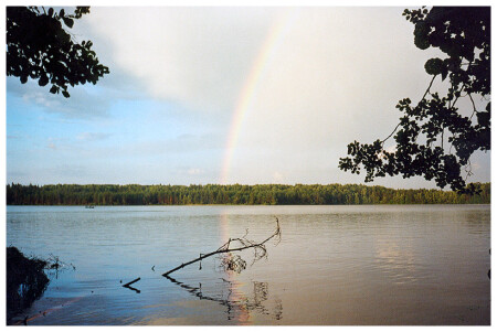 После дождя