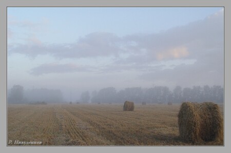 Magic morning