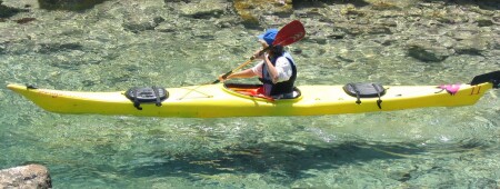 Свободное парение