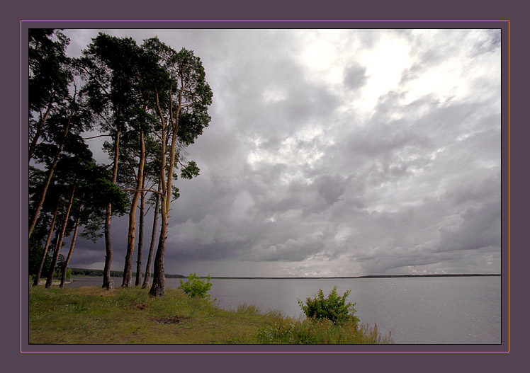 У лукоморья (цветная)