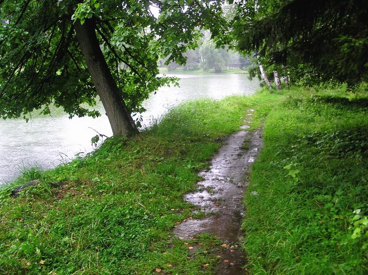 После дождичка в четверг