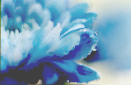 Синь-апельсинь