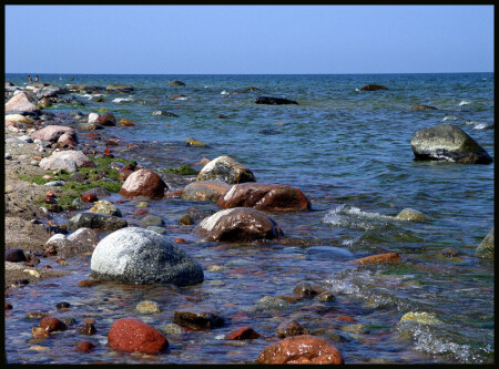 Балтийское море выбрасывает не только янтарь