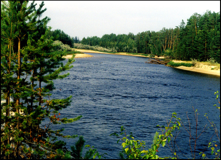 Ампута