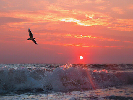 Мгновенно лето пролетело