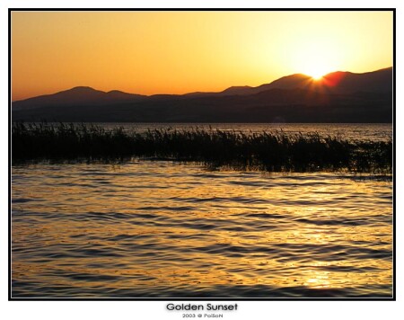 Золотой закат