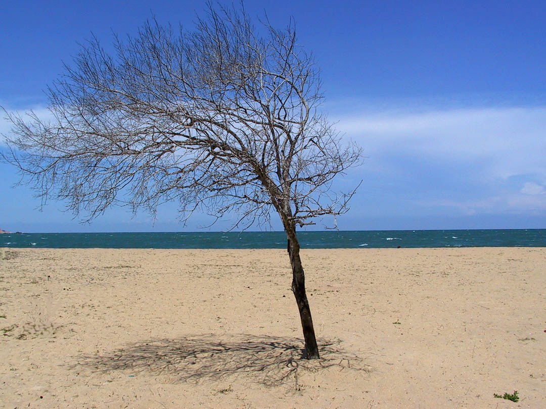 Lonely