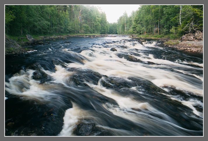 Карелия 2003 - черная вода Ууксунйоки