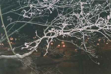 А на Бастионке...