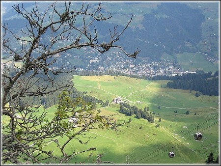Альпийские лужайки