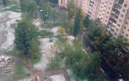 Первый снег (вид из моего окна)