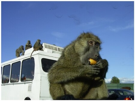 Какие мы застенчивые...