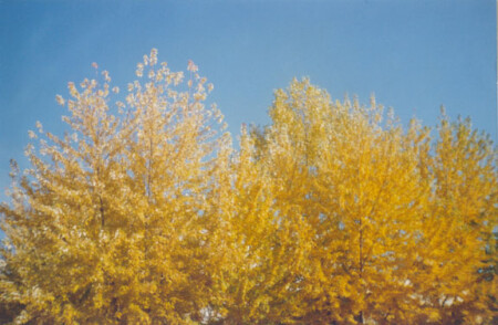 Наш прапор...