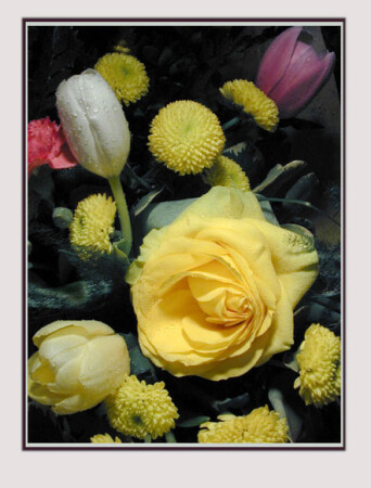 sweetcover&#039;s picture