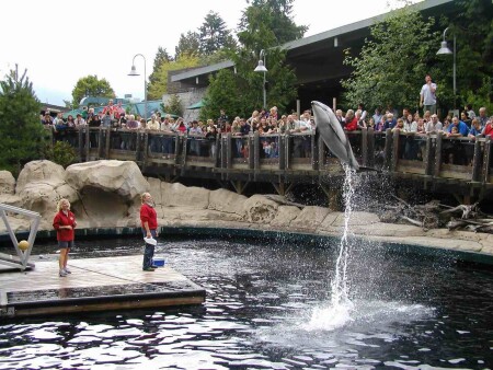 Люди и дельфины