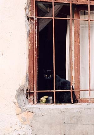 odessa1