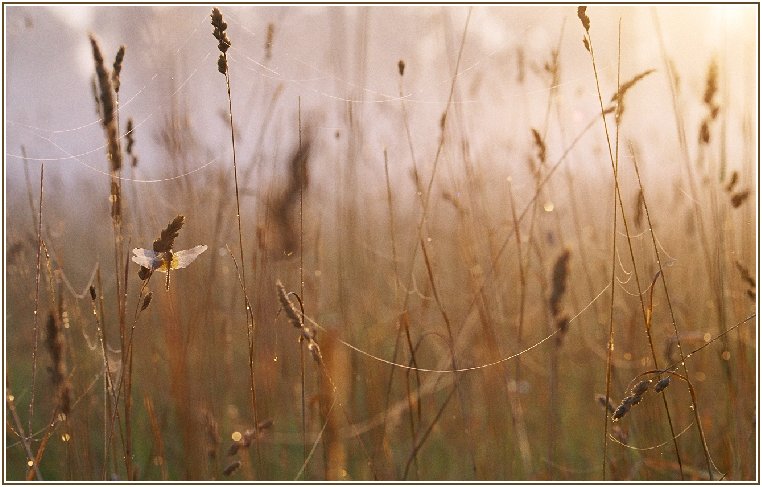 Фотография 3