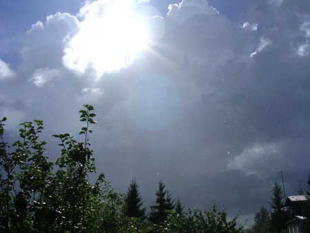 Летний дождь