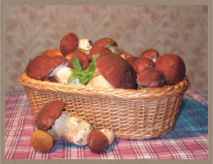 Натюрморт с грибами
