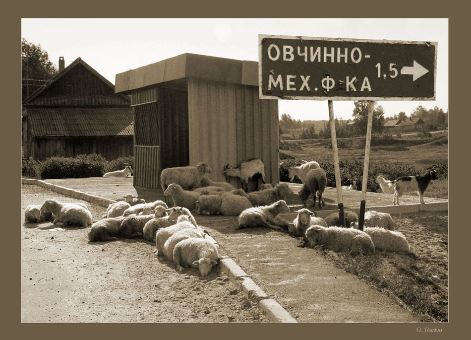 Последняя остановка
