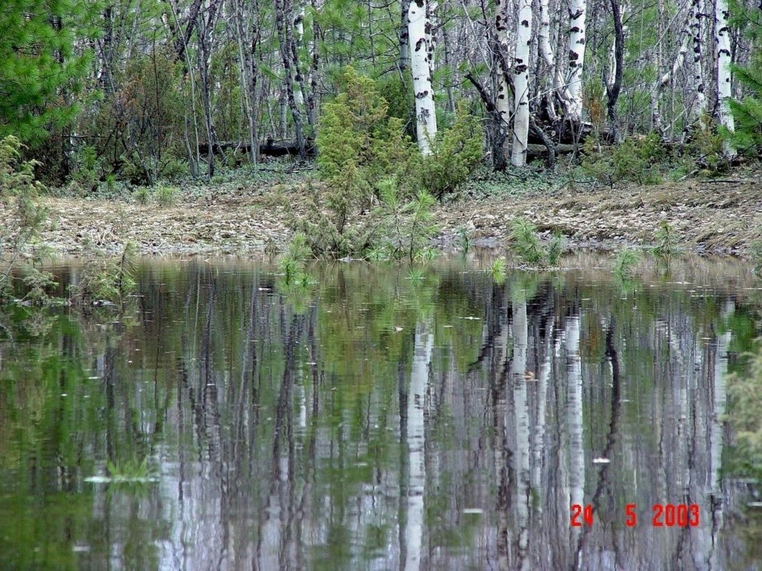 otrajenie
