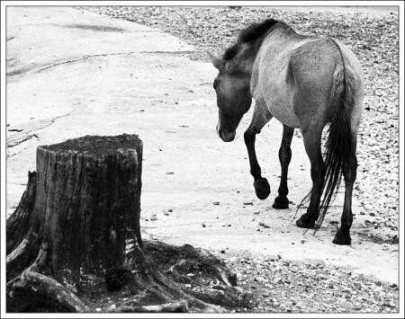 Одиночество