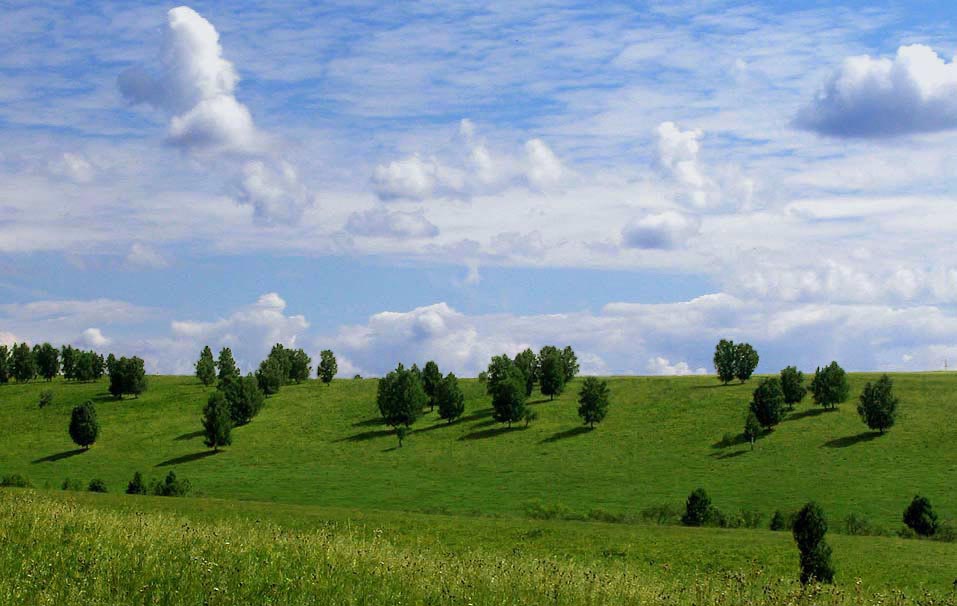 Разбрелися