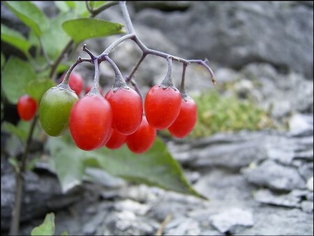 Мечтая о Прекрасном...