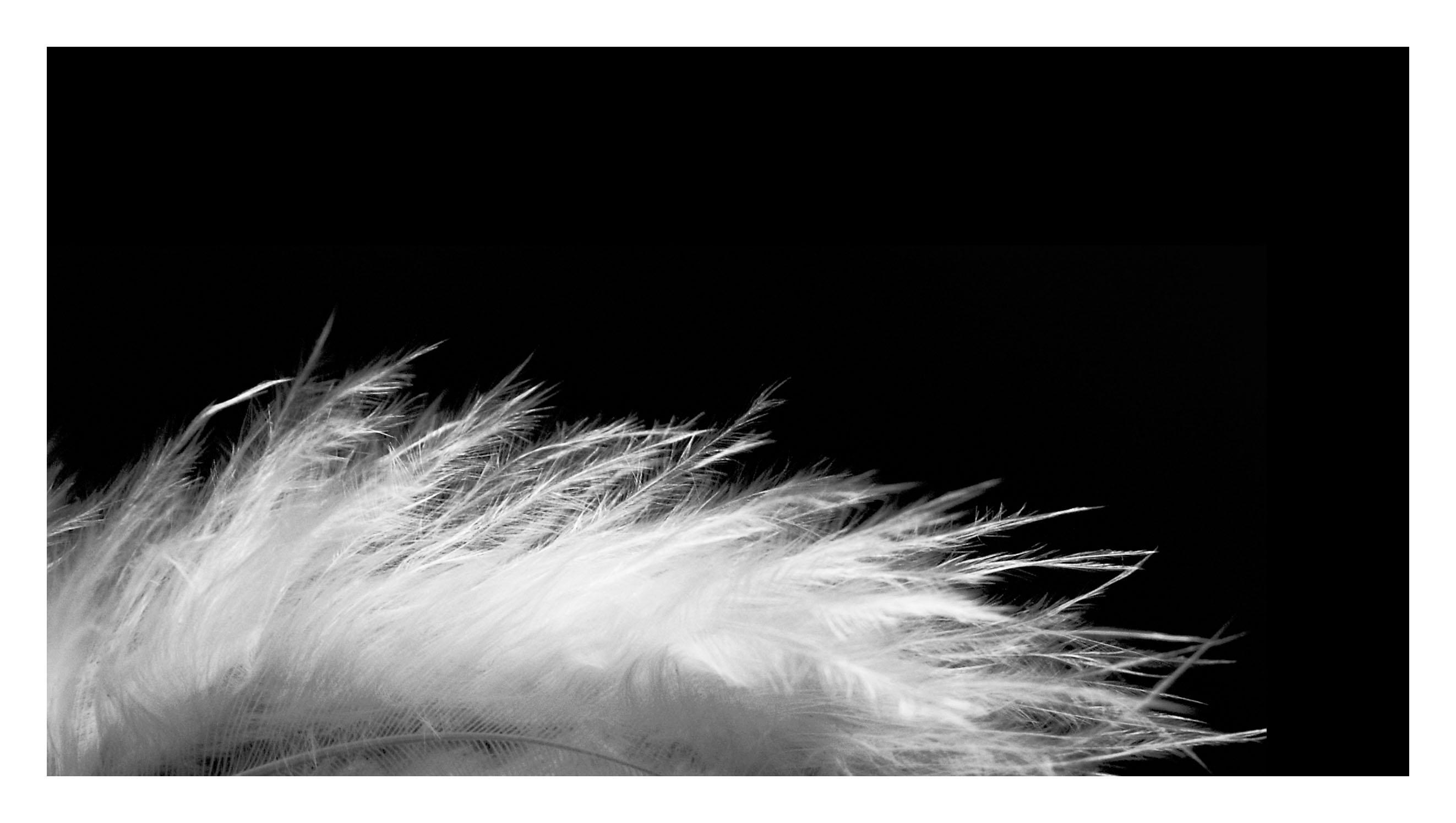 the infinite tenderness
