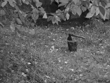 Затишье перед...