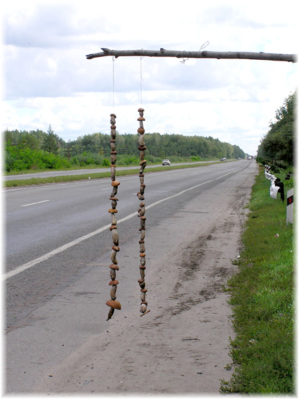 грибочки