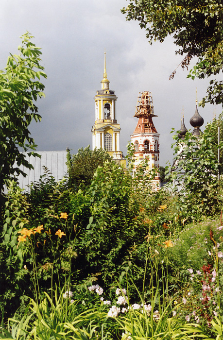 Крыши, купола, цветы