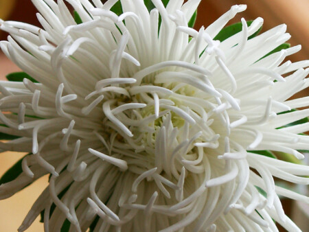 Взрыв на макаронной фабрике