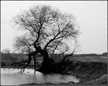 Унылая пора...